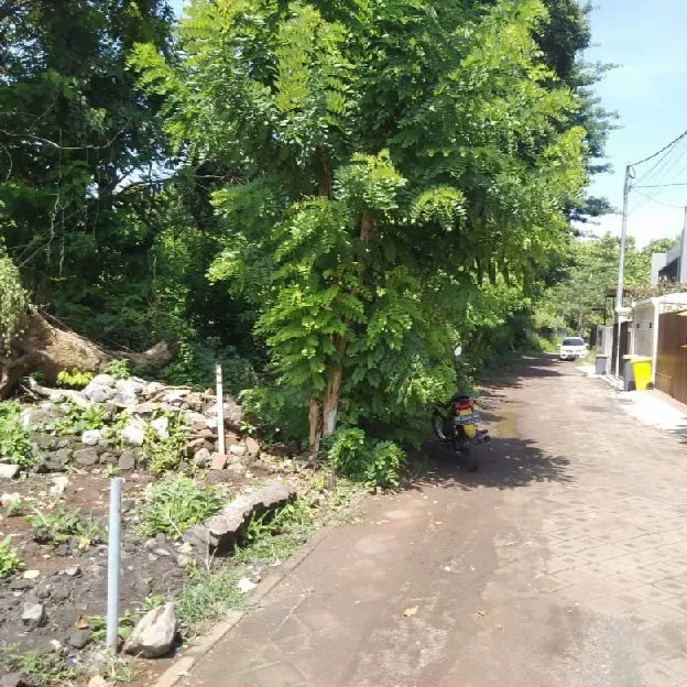 Dijual 15 are, Jl. Lalang Ambu Blongkeker Balangan Jimbaran Kuta Selatan