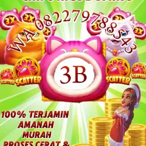 bongkar chips hig dmno 1B