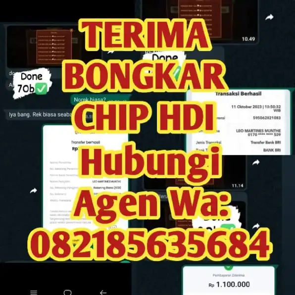 jasa layanan bongkar chip hdi