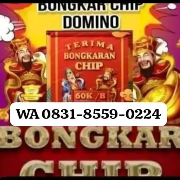 jual chip higgs dmino