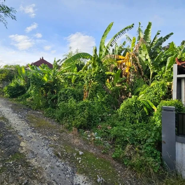 Dijual 2 are, Jl. Cendrawasih Raya Munggu Kapal Selingsing Bantas Cepaka Kediri Tabanan