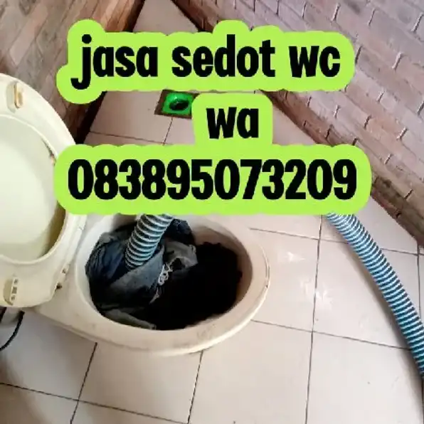 jasa sedot tinja wc purbalingga