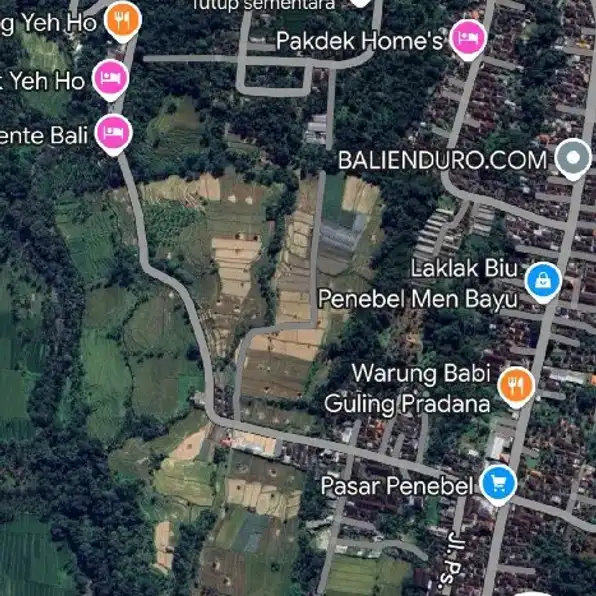 Dijual 3,486 Ha. Jl. Penebel Mengesta Jatiluwih Tabanan Bali