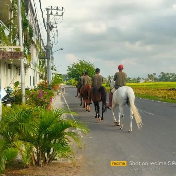 Dijual 66 are, Jl. Kebo Iwo Pangkung Tibah Pantai Kedungu Kediri Tabanan