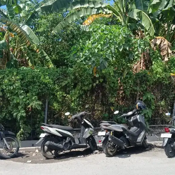 Dijual 5 are, Jl. Tengah I Tegal Cupek Bumbak UMALAS Kerobokan Kuta Utara