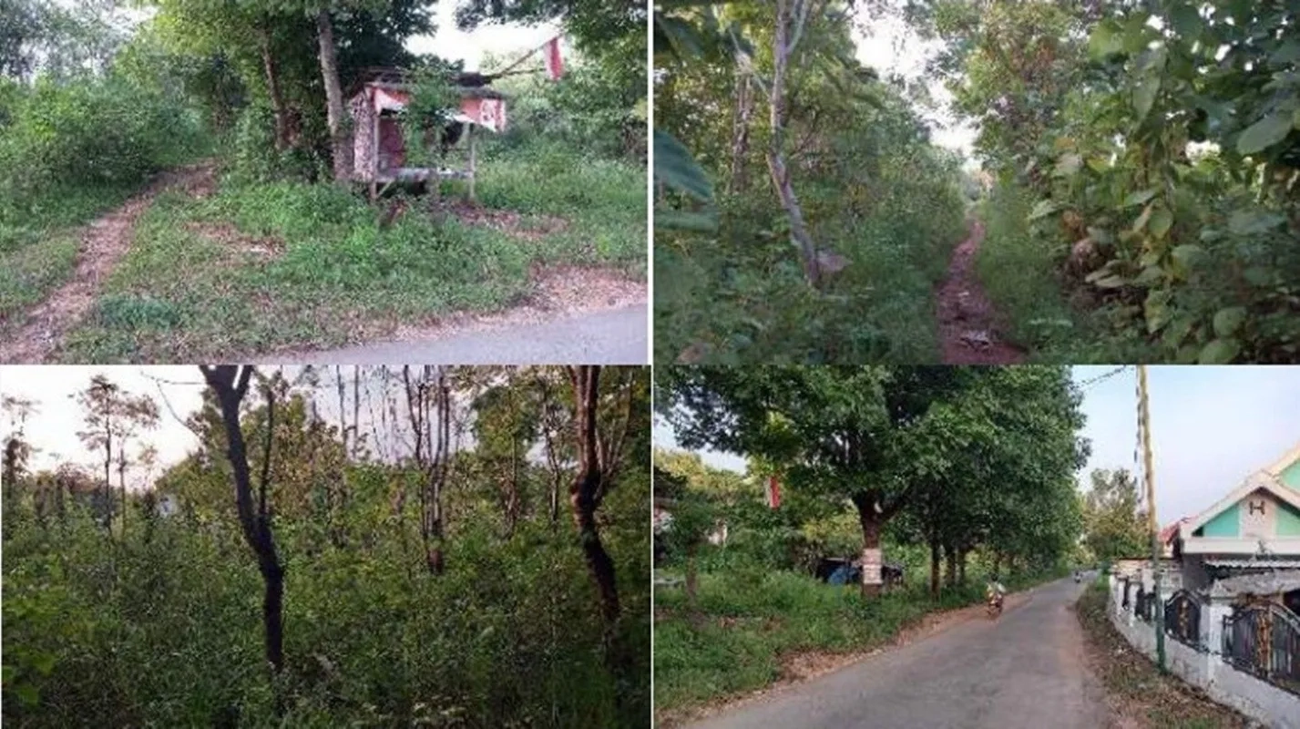 Tanah Sangat Luas Daerah Lobuk Kabupaten Sumenep Shm