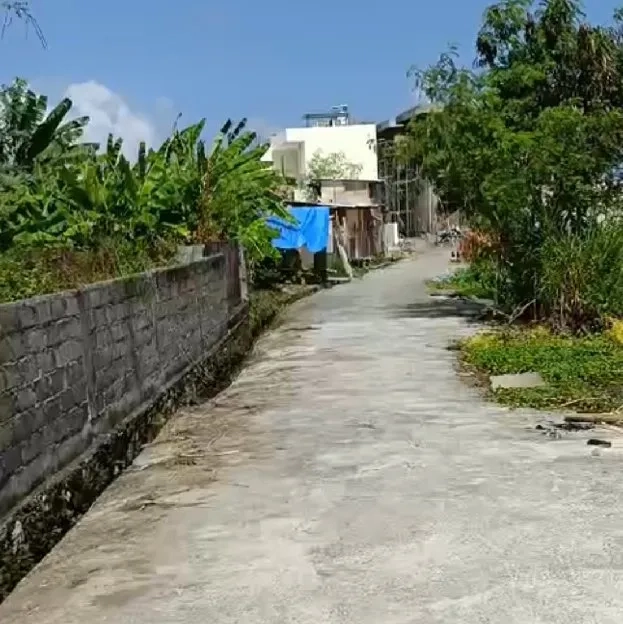 Dijual 29,5 are, Jl. Munduk Kalampuak Pantai Batu Bolong Canggu Kuta Utara