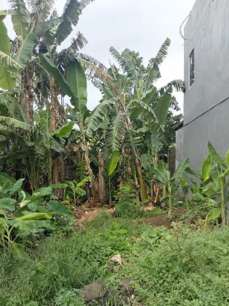 Dijual 15,9 are, Jl. Perumahan Pegending Padonan Dalung Kuta Utara