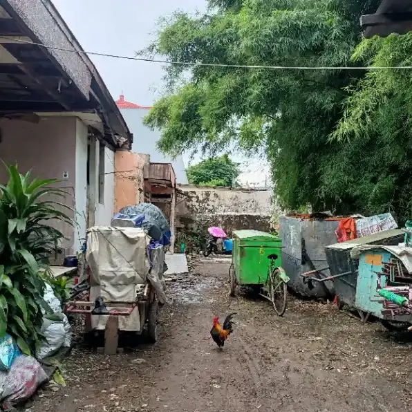 Rumah  Hook Hitung Tanah Raya Pandegiling Surabaya pusat Strategis