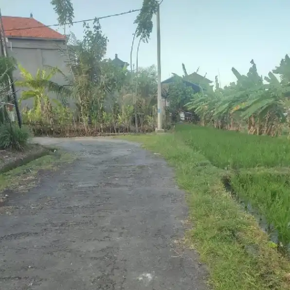 Dijual 1,6 are, Jl. Sang Hyang Perum Buduk Mas Lestari Mengwi