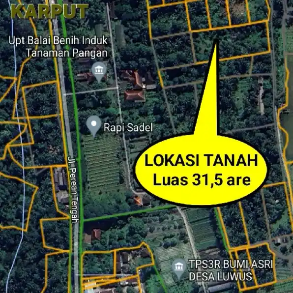 Dijual 31,5 are, Jl. Perean Tengah Mekarsari Baturiti LUWUS Tabanan