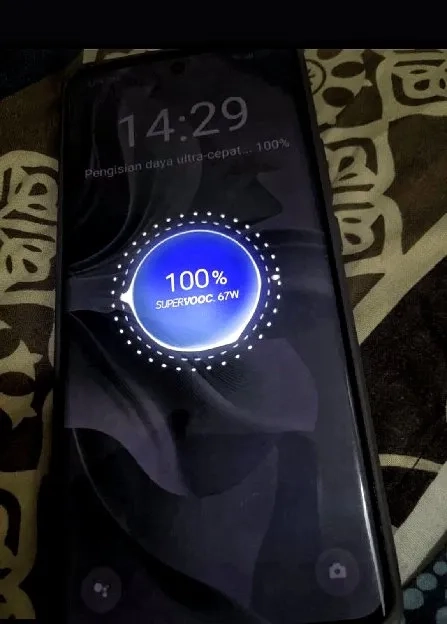 Charger ori cabutan bawaan oppo reno 10 5G type C 67 watt