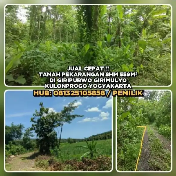 TANAH PEKARANGAN SHM 559M² DI GIRIPURWO GIRIMULYO KULONPROGO YOGYAKARTA.H: 081325105858 / PEMILIK>>