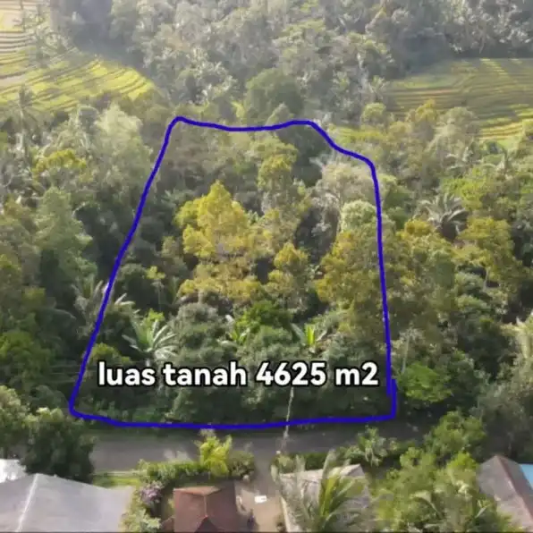 Dijual tanah ada mata air di Pupuan Tabanan Bali