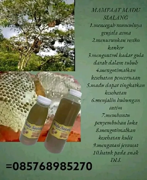 madu hutan liar apisdorsata 