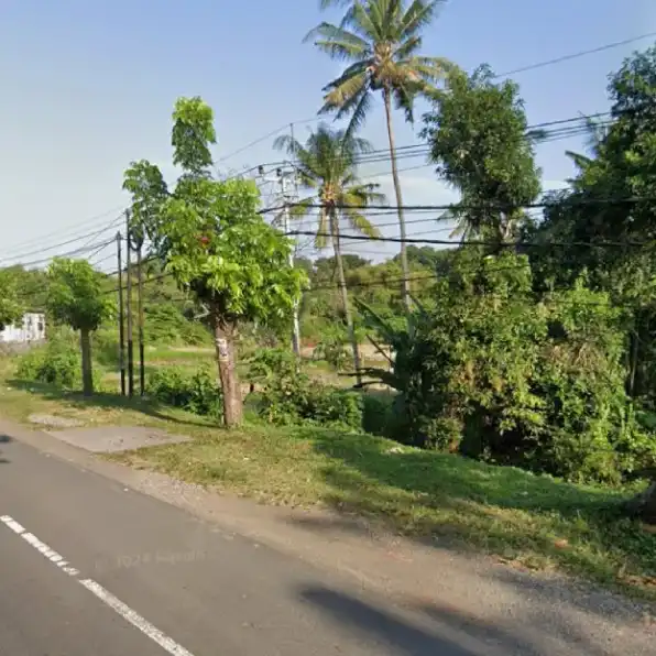 Dijual 1,262 Ha. Jl. Bypass Bagus Mantra Sebelah Taman SAFARI Cucukan Keramas Gianyar