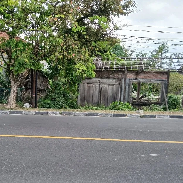 Dikontrakan 41,65 are, Jl. Cokroaminoto Depan Sekolah GANDHI Ubung Kaja Denpasar