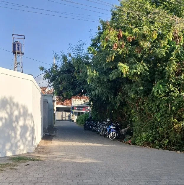 Dijual 2,5 are, Jl. Tunggak Bingin Batur Sari Sanur Kauh Denpasar