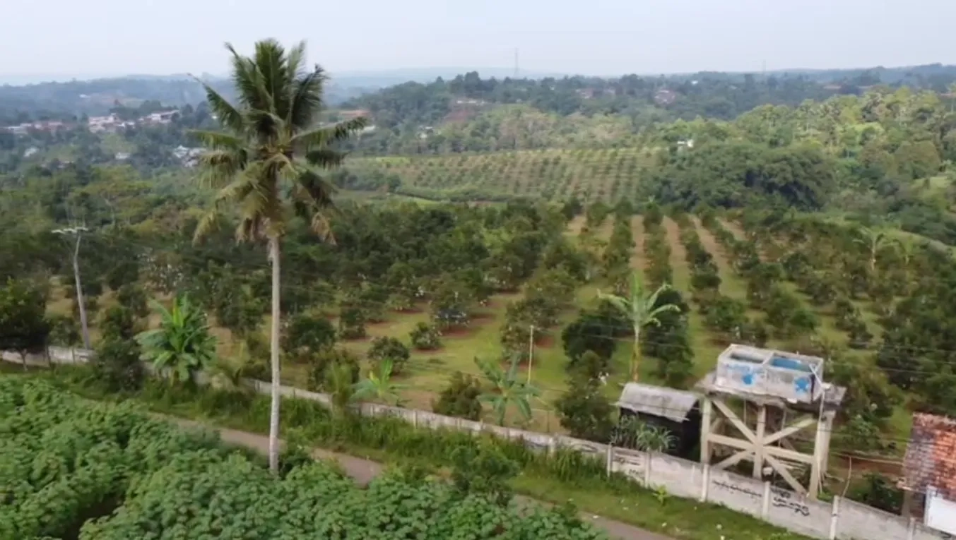 Tanah Kebun Alpukat Strategis Kawasan Gunung Endut Sukabumi