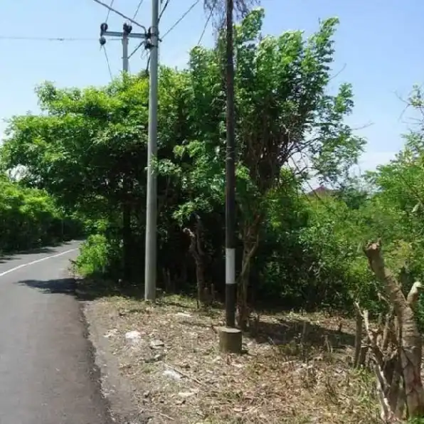 Dijual 47,14 are, Jl. Pura Batu Pageh Bali Cliff Pantai Melasti Ungasan Kuta Selatan