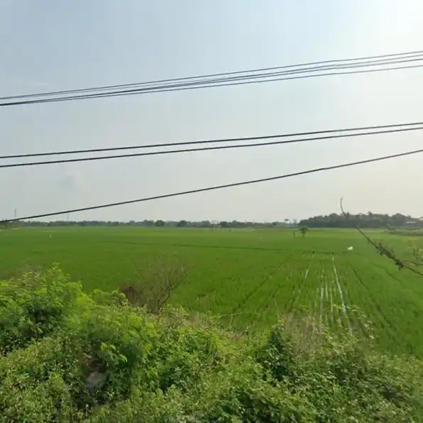 Dijual Tanah Sawah Luas Shm di Desa Bakung Tangerang