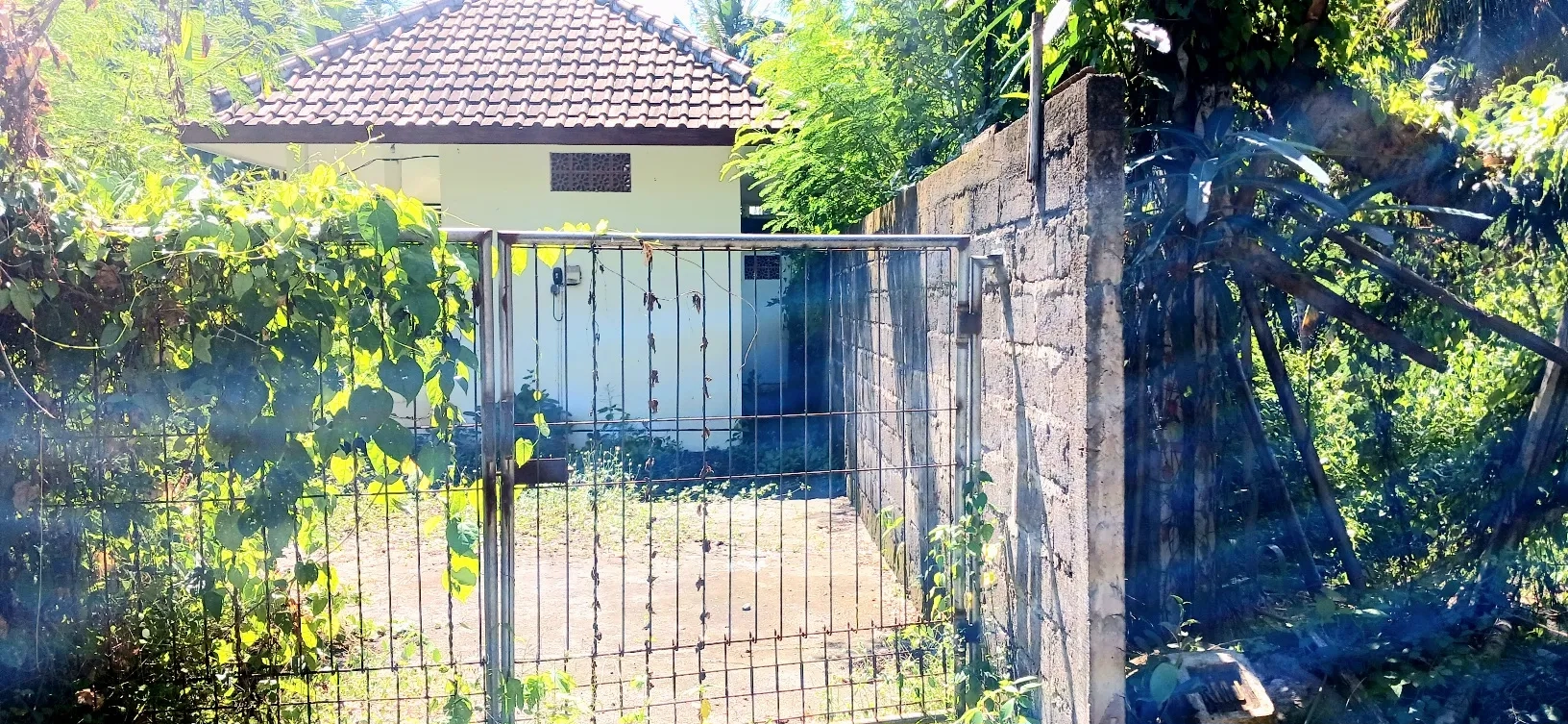 Dijual tanah 10 are jl Ida Bagus Mantra Saba Gianyar Bali