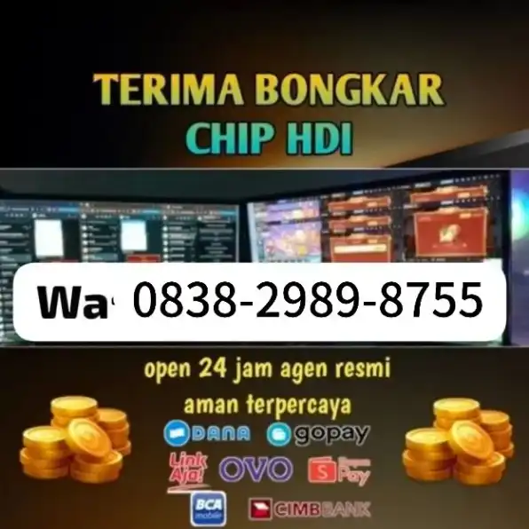 Agen Resmi Bongkar Chip Hdi Dan Chip Rd