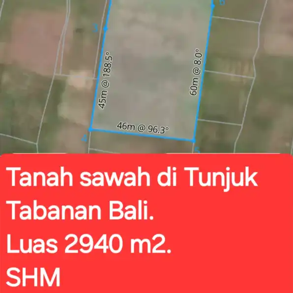 Tanah sawah 2940 m2 di Tunjuk Tabanan Bali