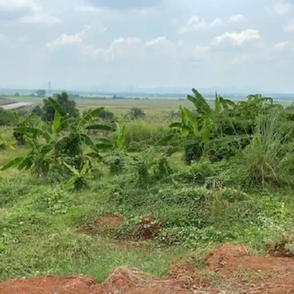 Tanah Kosong Strategis di Desa Mekarjaya Karawang