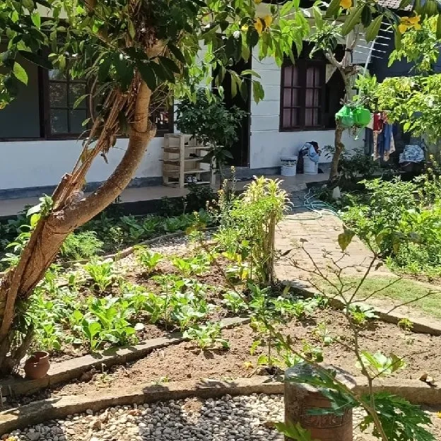 Dijual 5 are FREE RUMAH, Jl. Sekar Sari Kesiman Kerthalangu Denpasar