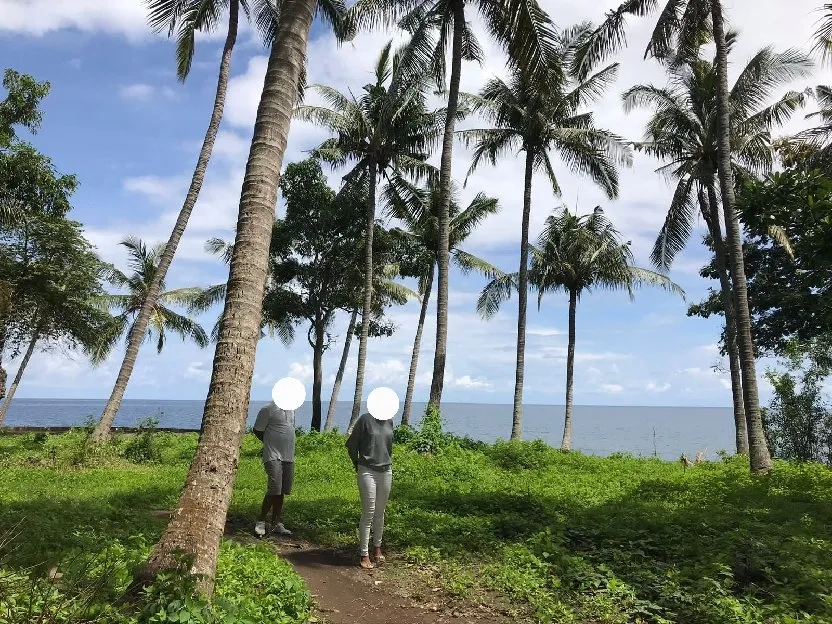 Dijual tanah los pantai 1,6 Hektare Tejakula Buleleng Bali 