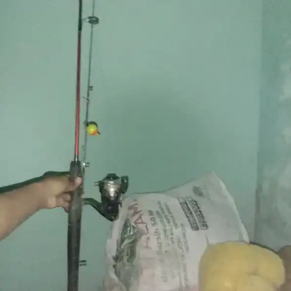 Alat pancing ikan