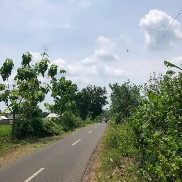 Tanah Sawah Zona Kuning Utara Jalan Solo Tawangmangu 