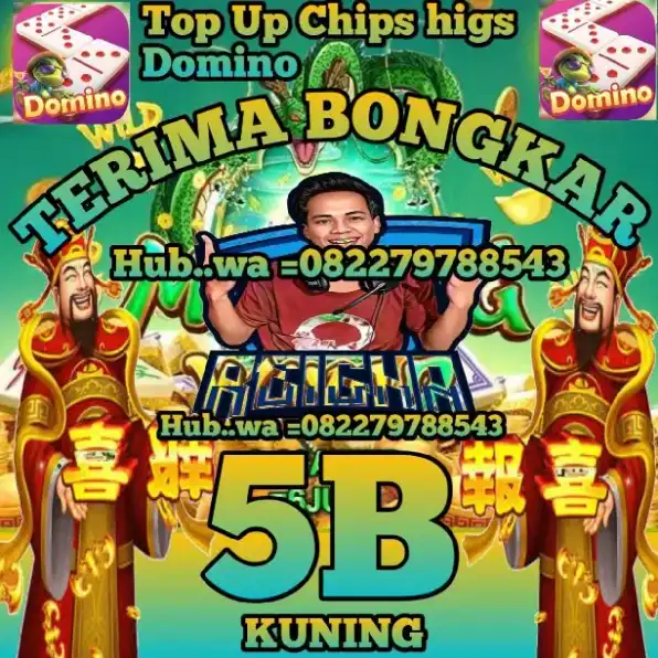 bongkar chips hig dmno 1B