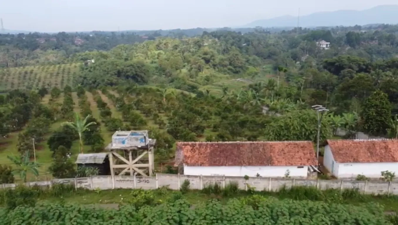 Tanah Kebun Alpukat Strategis Kawasan Gunung Endut Sukabumi