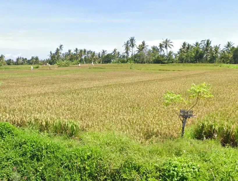 Dijual tanah view sawah dan laut di Medahan Blahbatuh Gianyar 