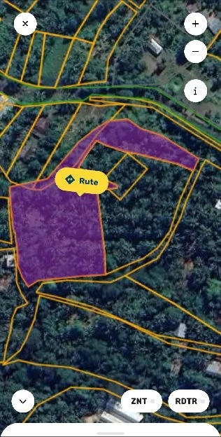 Kebun cengkeh aktif dan produktif area Kubutambahan Buleleng Bali 