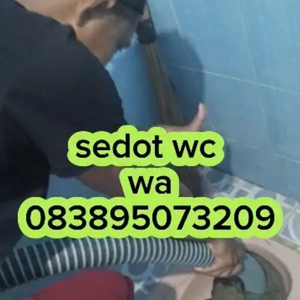 sedot wc banjarneqara