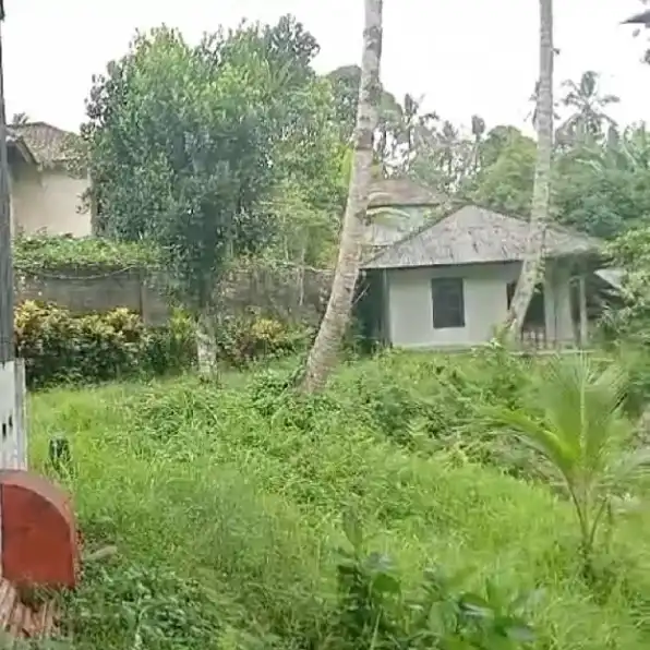 Dijual 3,486 Ha. Jl. Penebel Mengesta Jatiluwih Tabanan Bali