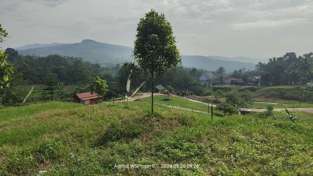 Tanah Murah SHM Puncak 2 Bogor Investasi Villa Bogor