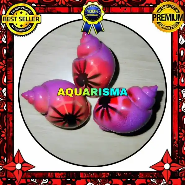 2 PCS CANGKANG KEONG MACAN TIGER TURBO BABILONIA PURPLE SPIDER GRADE A+