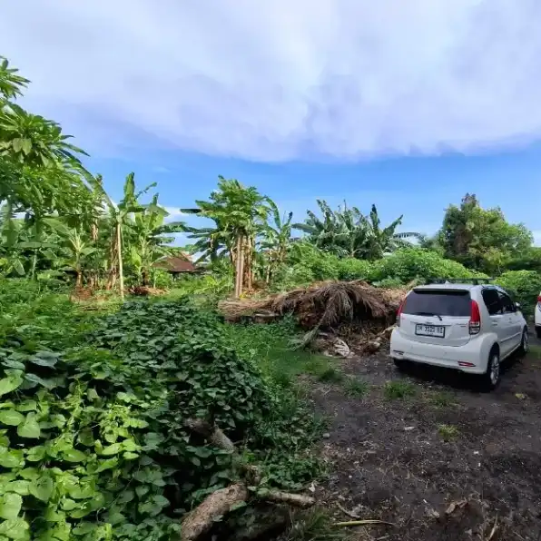 Dijual 24,5 are, Jl. Nangka Permai Subak Gatsu Tengah Dalem Peguyangan Kangin Denpasar