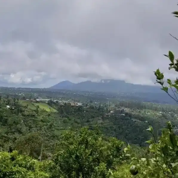 Jual Tanah Kebun Sangat Bagus di Kintamani Bangli Bali