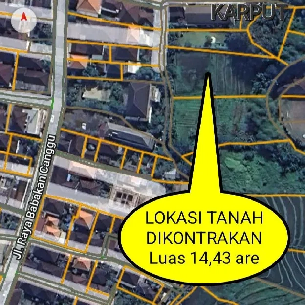 Dikontrakan 14,43 are, Jl. Babakan Canggu Tibubeneng Kuta Utara