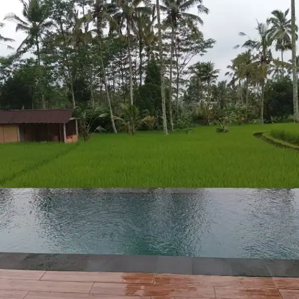 JUAL VILLA CUAN UBUD BALI