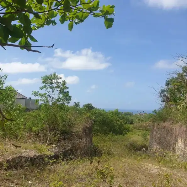 Jual Tanah Luas Murah Dekat Pantai di Ungasan Badung Bali