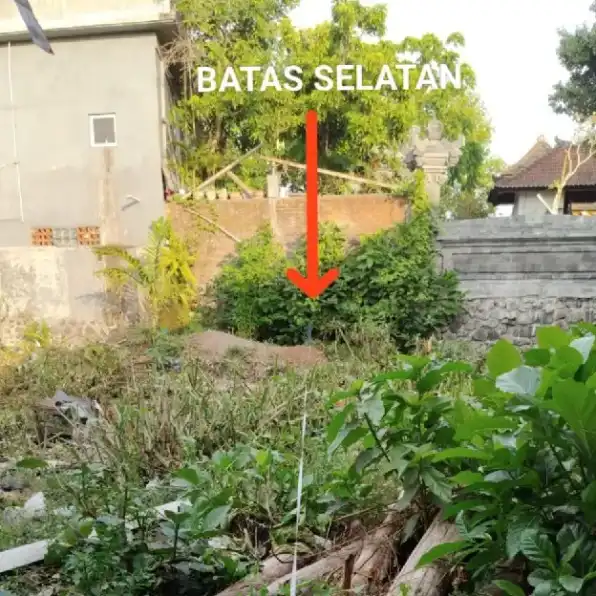 Dijual 1,8 are, Jl. Lebah Sari Raya Padonan Tibubeneng Dalung Kuta Utara