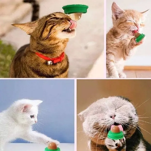 Catnip CANDY Permen Kucing Vitamin Cemilan Catmint Snack Cat nip Murah Mainan Vitamin Ball Vit Toys