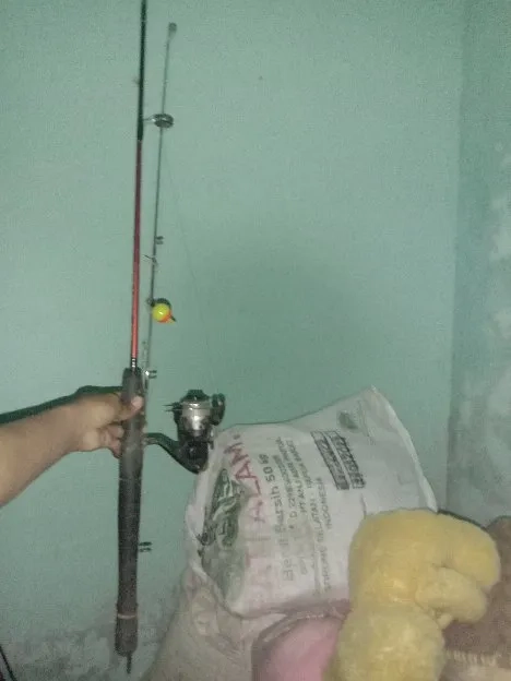 Alat pancing ikan