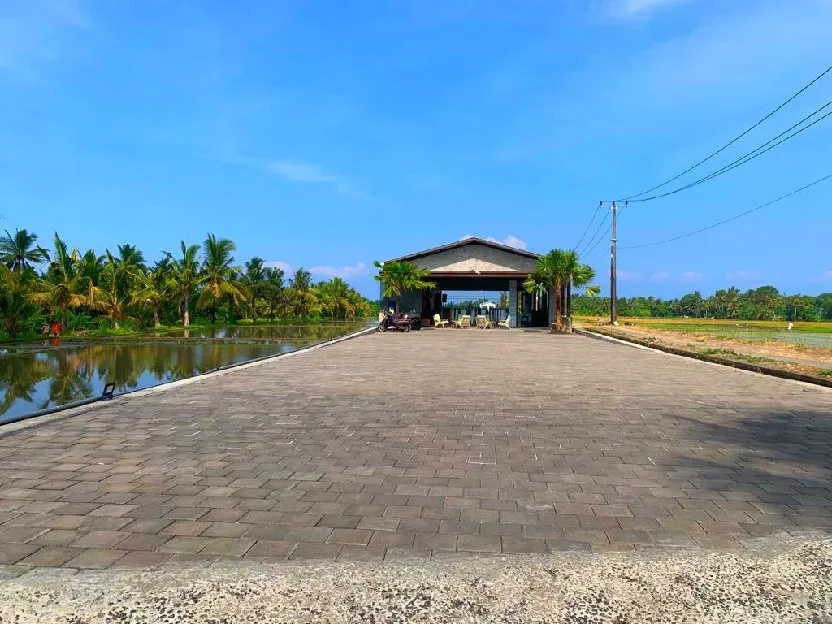 Disewakan tanah di Kedungu dkt Pigstone beach,Pererenan, Badung Bali 